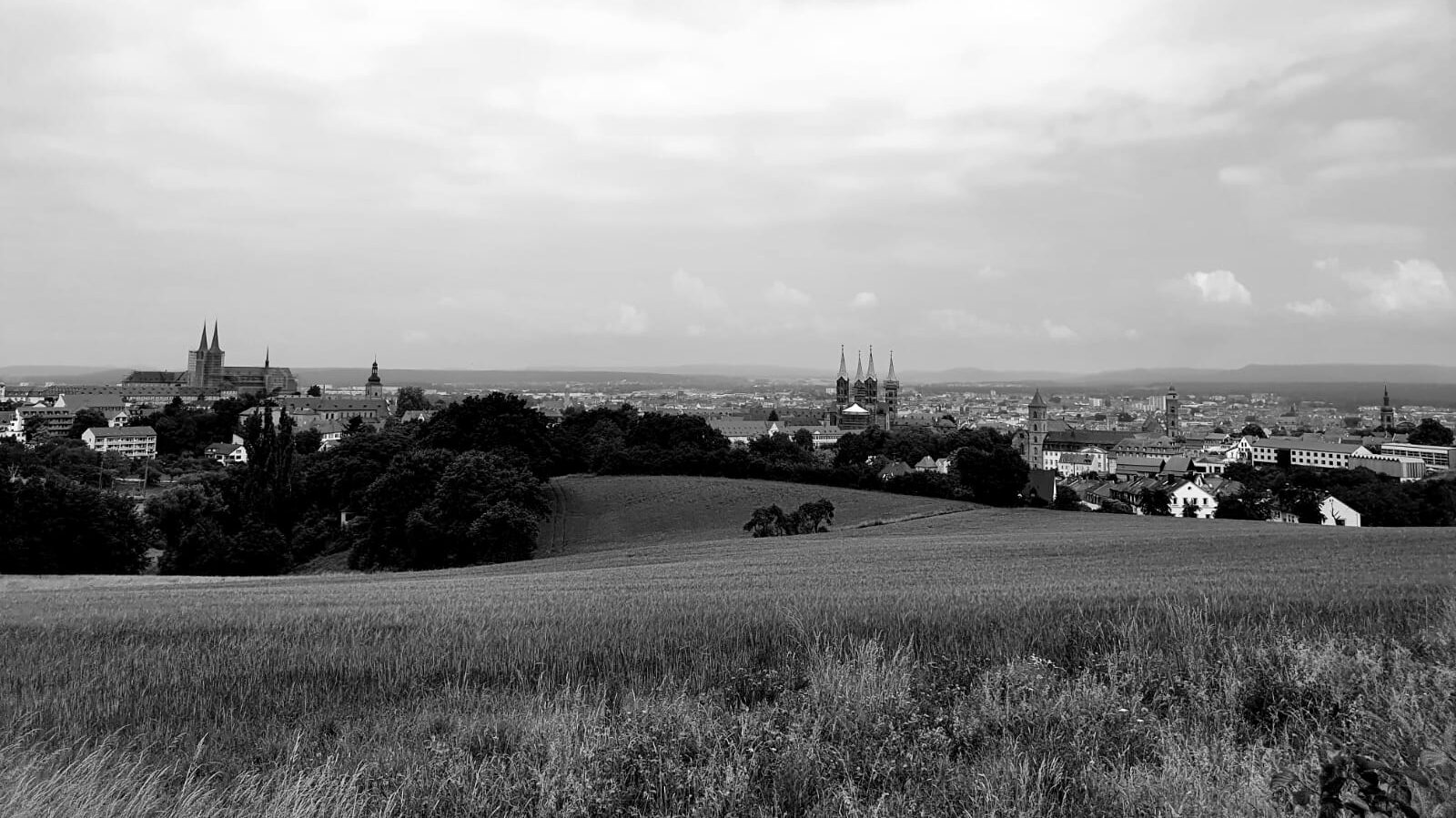<span class="vcard">Rezensoehnchen</span>