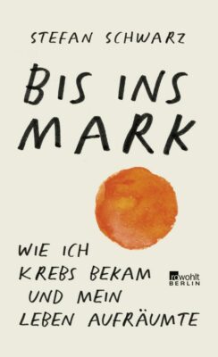 cover bis ins mark von Stefan Schwarz