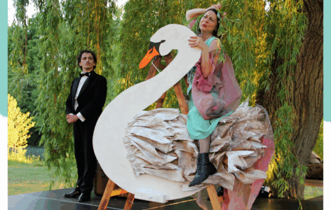 Theater im Gärtnerviertel – Mein lieber Schwan