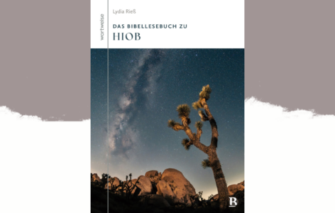 Lydia Reiß – Das Bibellesebuch zu Hiob